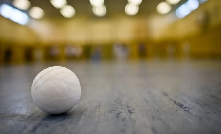 History of tapeball cricket 2025